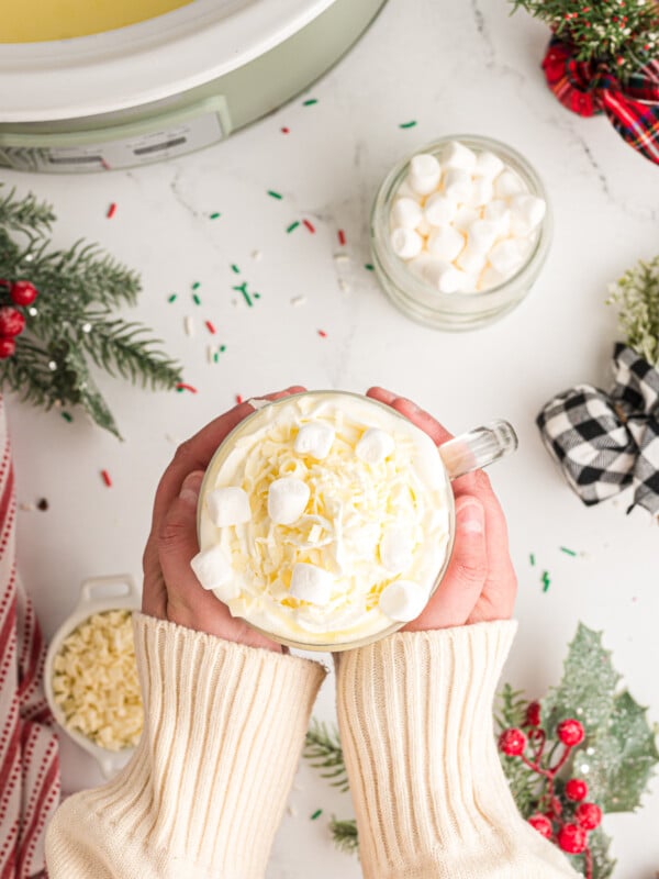 Hands holding a mug of hot chocolate.