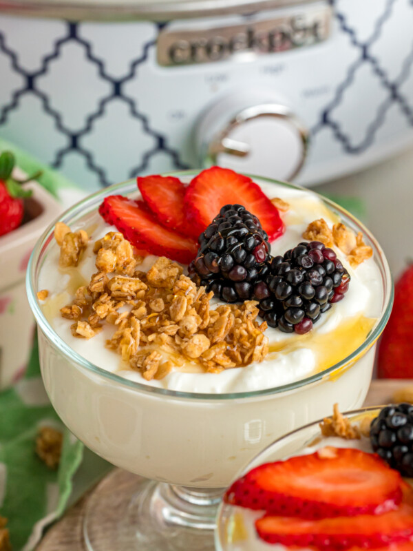 Slow cooker yogurt in a serving dish with toppings.